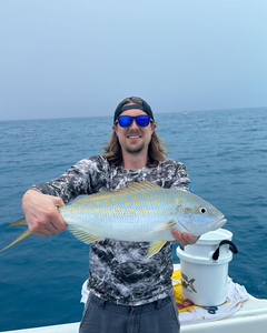 Awesome Yellowtail In Tavernier FL